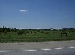 Although Turtlecreek Township is located in an increasingly developed area, it still includes agricultural land, such as this orchard