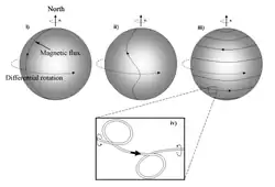 A diagram showing the evolution of the solar magnetic flux over one solar cycle