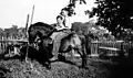 Two Iowa farm boys riding a pony, around 1937
