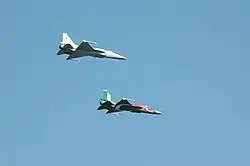Pakistan, Two Pakistan Air Force JF-17 Thunders during Pakistan Republic Day (2007)