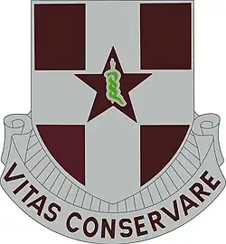 Distinctive Unit Insignia, 67th Medical Group