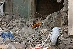 Teddy Bear in ruins, after Russian air strikes