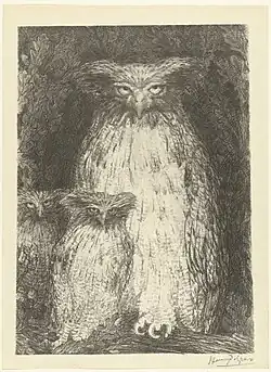 Owl with Two Chicks Sitting on Branch (1893), lithograph, 34.5 x 25 cm.