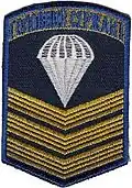 Sleeve patch for chief sergeant of the 25th Airborne Brigade (ver. 1)