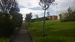 View of a campus avenue.