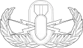 Explosive Ordnance Disposal Badges (Basic, Senior, and Master)