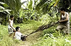 A boy sits on a large leaf that is pulled by an older boy. Another boy looks at them.