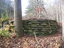 A rough stone wall, made of several courses of flat stones in concrete, in an overgrown area with a tree trunk