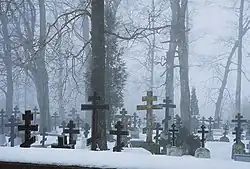 Old Believers' cemetery in Varnja