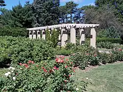 Rose Garden