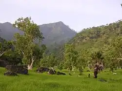 Landscape at Subau, Uma Caduac