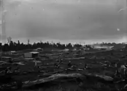 Timber milling township of Mamaku, looking towards the Mountain Rimu Timber Co. mill