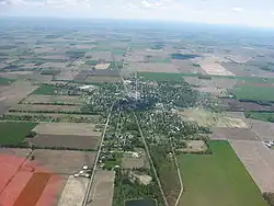 Aerial view of Forest