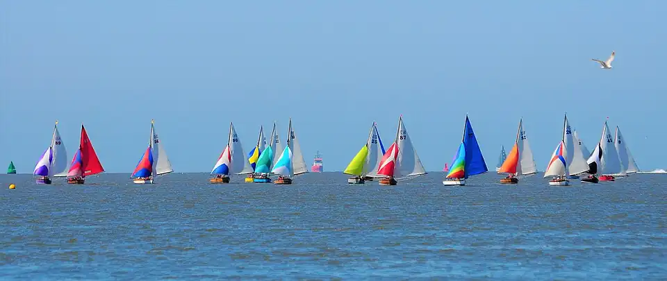 Seabird Half Raters in WYC Regatta 2018
