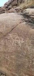 Petroglyphs depicting camels in Wadi Shie