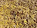 Waigaon Turmeric fingers in dried form