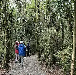 Approaching the colony