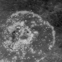 Abundant hollows on the floor of Warhol crater