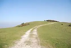 A trackway passing from the viewer up and over a hill ahead