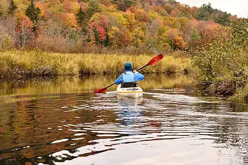 A kayaker during fall foliage on the W. Branch of the Sacandaga River, Adirondack Mountains, New York State.