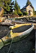 Whale bones on the beach