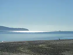 Photo of beach in Puget Sound