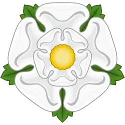 White rose of York