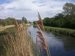 A countryside scene, with water bounded by grass