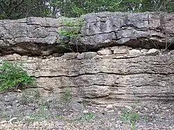 Winterset Limestone, Dennis Formation, Upper Bronson Subgroup, Kansas City Group, Missourian Series, Pennsylvanian System (late Carboniferous, ca. 318-299 million years ago).
