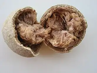 Opened woodapple fruit