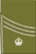 1902 to 1920 major's sleeve rank insignia (Scottish pattern)