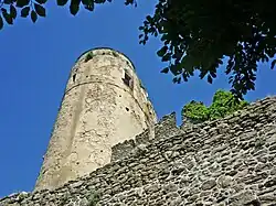 Castle tower