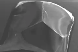 A black-and-white image showing a glossy, triangular pyramid 30° off-axis from a vertical view.