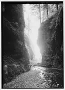 Oneonta Gorge